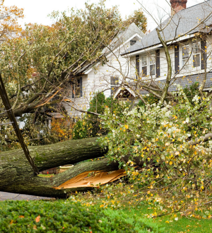 Hurricane Damage Picture